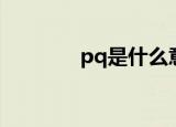 pq是什么意思（pq的解释）