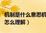 机制是什么意思机制通俗的是什么意思（机制怎么理解）