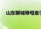 山东聊城辱母案于欢（山东聊城辱母案）