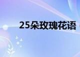 25朵玫瑰花语（25朵玫瑰花的寓意）