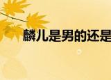 麟儿是男的还是女的（麟儿是男是女）
