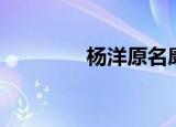 杨洋原名康康（杨洋原名）