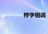桦字组词（桦字怎么组词）