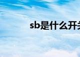 sb是什么开关元件（开关元件）