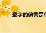 牵字的偏旁是什么偏旁（牵的偏旁）