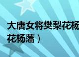 大唐女将樊梨花杨藩是好人吗（大唐女将樊梨花杨藩）