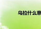乌拉什么意思（乌拉的含义）