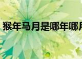 猴年马月是哪年哪月（猴年马月是何年何月）