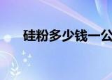 硅粉多少钱一公斤（硅粉多少钱一吨）