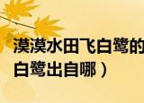 漠漠水田飞白鹭的下一句是什么（漠漠水田飞白鹭出自哪）