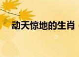 动天惊地的生肖（惊天动地是什么生肖）