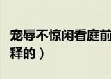 宠辱不惊闲看庭前花开花落的全诗（是怎么解释的）