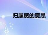归属感的意思（归属感指的是什么）
