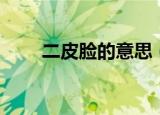 二皮脸的意思（怎么用这个词造句）