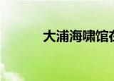 大浦海啸馆在哪（大浦海啸馆）