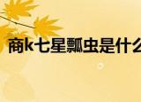 商k七星瓢虫是什么意思（瓢虫是什么意思）
