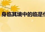 身临其境中的临是什么意思（身临其境释义）