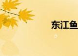 东江鱼多少钱一斤？