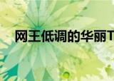 网王低调的华丽TXT（网王 低调的华丽）