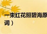 一束红花照碧海原唱（一束红花照碧海完整歌词）