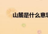 山麓是什么意思（山麓指的是什么）