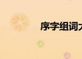 序字组词大全（序的组词）