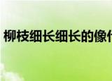 柳枝细长细长的像什么（大家一起来学习吧）