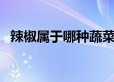 辣椒属于哪种蔬菜（辣椒属于什么类蔬菜）