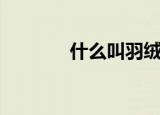 什么叫羽绒棉（羽绒棉简介）