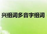 兴组词多音字组词（兴组词多音字怎样组词）