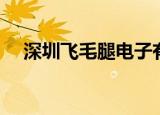 深圳飞毛腿电子有限公司（深圳飞毛腿）