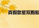 真假歌星双胞胎姐妹电影（真假歌星）