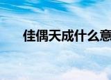 佳偶天成什么意思（佳偶天成的含义）