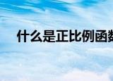 什么是正比例函数（什么叫正比例函数）