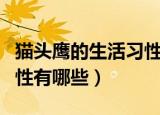 猫头鹰的生活习性是怎样的（猫头鹰的生活习性有哪些）