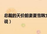 总裁的天价前妻夏雪韩文txt（总裁的天价小妻子 韩降雪 小说）