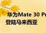  华为Mate 30 Pro 5G通过SIRIM认证 即将登陆马来西亚