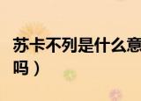 苏卡不列是什么意思（苏卡不列是不好的话语吗）