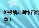终极战斗训练石给哪个宠物用（终极战斗训练石）