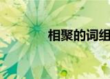 相聚的词组（相聚的近义词）