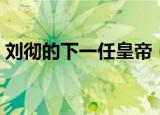 刘彻的下一任皇帝（哪位皇帝是刘彻后面的）