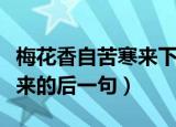 梅花香自苦寒来下一句是什么（梅花香自苦寒来的后一句）