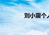 刘小震个人简历（刘小震）