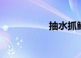 抽水抓鳄雀鳝（csze）