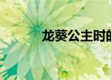 龙葵公主时的发型（龙葵公主）