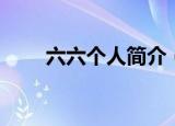 六六个人简介（六六个人感情生活）