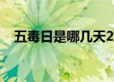 五毒日是哪几天2021（五毒日是哪几天）