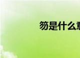笏是什么意思（笏读什么）