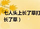 七人头上长了草打一字猜字谜答案（七人头上长了草）