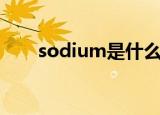 sodium是什么意思（sodium解释）